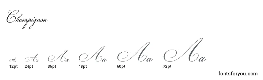 Champignon Font Sizes