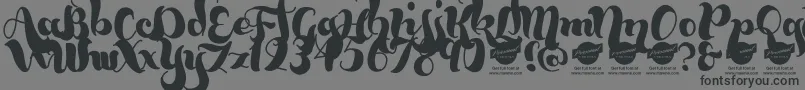 BumblebeesDemo Font – Black Fonts on Gray Background