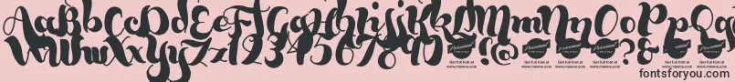 BumblebeesDemo Font – Black Fonts on Pink Background