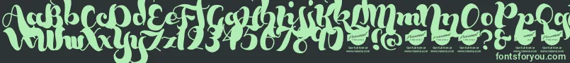 Шрифт BumblebeesDemo – зелёные шрифты на чёрном фоне