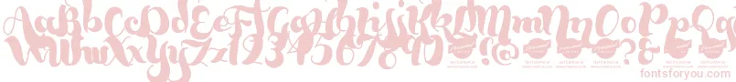 BumblebeesDemo Font – Pink Fonts on White Background