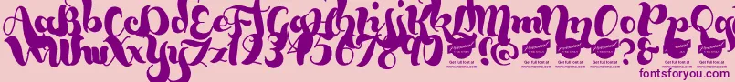 BumblebeesDemo Font – Purple Fonts on Pink Background