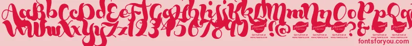 BumblebeesDemo Font – Red Fonts on Pink Background