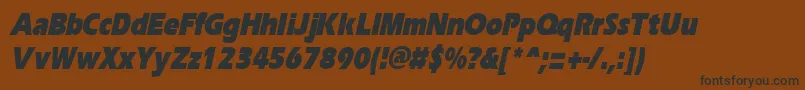 ErgoeblackcondItalic Font – Black Fonts on Brown Background