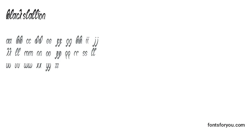 Schriftart BlackStallion (85318) – Alphabet, Zahlen, spezielle Symbole