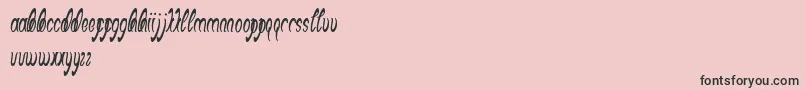 BlackStallion Font – Black Fonts on Pink Background