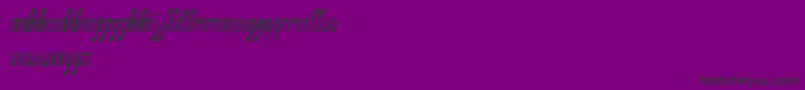 BlackStallion-Schriftart – Schwarze Schriften auf violettem Hintergrund