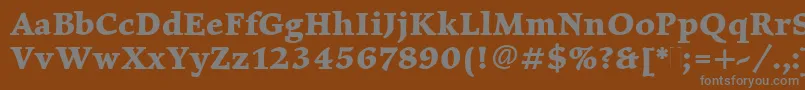 ElysiumBoldPlain-fontti – harmaat kirjasimet ruskealla taustalla