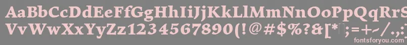 ElysiumBoldPlain Font – Pink Fonts on Gray Background