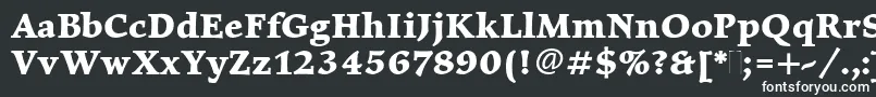 ElysiumBoldPlain-fontti – valkoiset fontit mustalla taustalla