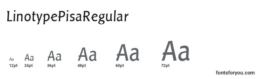 Размеры шрифта LinotypePisaRegular