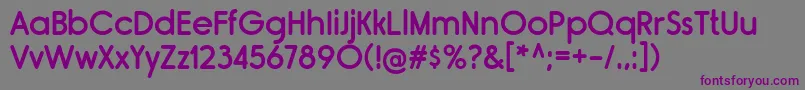 Шрифт RimouskiSb – фиолетовые шрифты на сером фоне