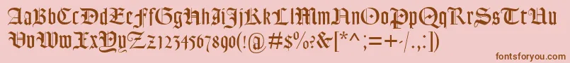 Lohengrin Font – Brown Fonts on Pink Background