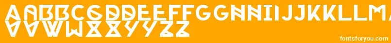 PorticaRegularTypeface Font – White Fonts on Orange Background