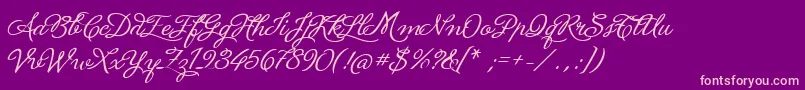 LaPorteniaDeLaBoca Font – Pink Fonts on Purple Background