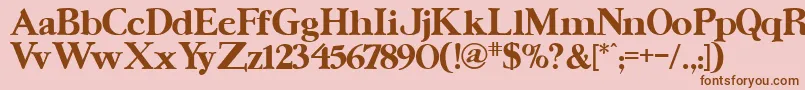 UrsaserifBold Font – Brown Fonts on Pink Background