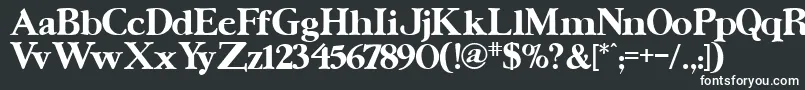 UrsaserifBold-fontti – valkoiset fontit mustalla taustalla