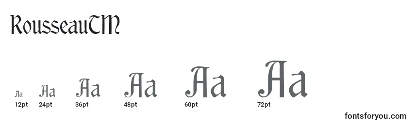 RousseauTM Font Sizes