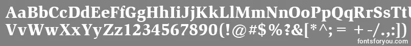 フォントItcSlimbachLtBlack – 灰色の背景に白い文字