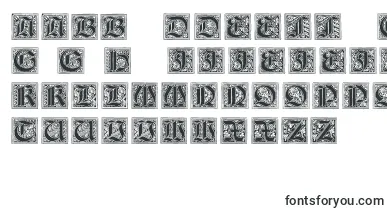 NeugotischeInitialen font – maltese Fonts
