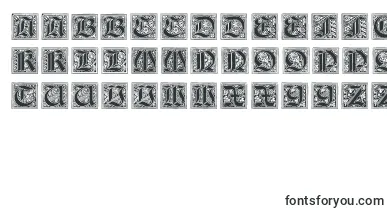 NeugotischeInitialen font – Fonts From Dots