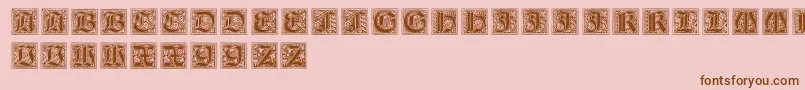 Saiba mais sobre a fonte NeugotischeInitialen Fonte NeugotischeInitialen – fontes marrons em um fundo rosa