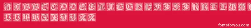 NeugotischeInitialen Font – Pink Fonts on Red Background