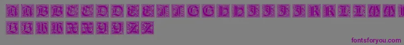 NeugotischeInitialen Font – Purple Fonts on Gray Background