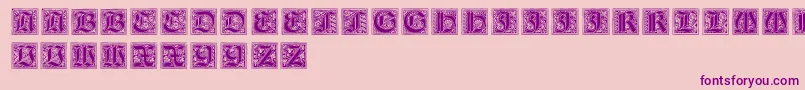 NeugotischeInitialen Font – Purple Fonts on Pink Background