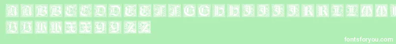 NeugotischeInitialen Font – White Fonts on Green Background