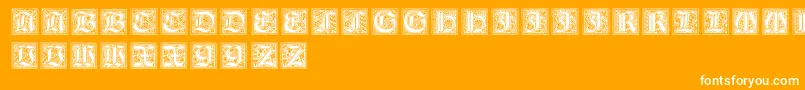 NeugotischeInitialen Font – White Fonts on Orange Background