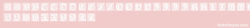 NeugotischeInitialen Font – White Fonts on Pink Background