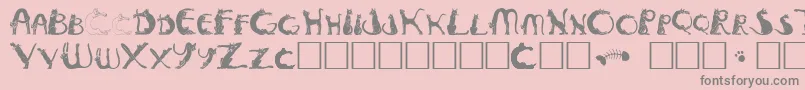 Pussyfoota Font – Gray Fonts on Pink Background