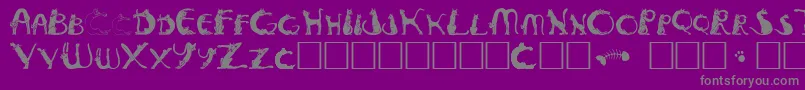 Pussyfoota Font – Gray Fonts on Purple Background