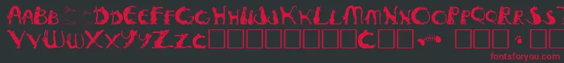 Pussyfoota Font – Red Fonts on Black Background