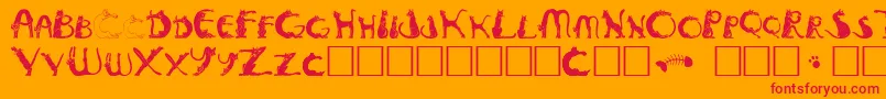 Pussyfoota-Schriftart – Rote Schriften auf orangefarbenem Hintergrund