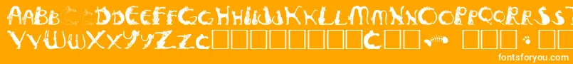 Fonte Pussyfoota – fontes brancas em um fundo laranja