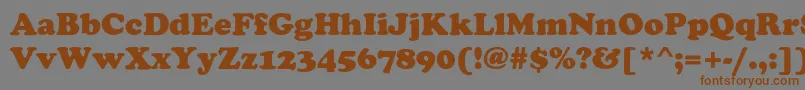 Chacey Font – Brown Fonts on Gray Background