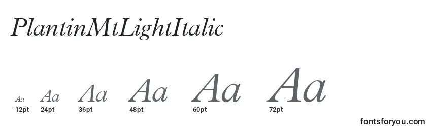 Размеры шрифта PlantinMtLightItalic