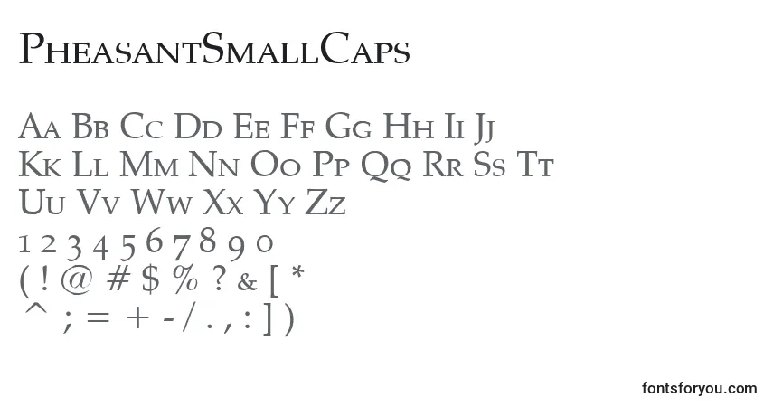 A fonte PheasantSmallCaps – alfabeto, números, caracteres especiais