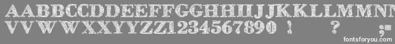 フォントZsylettprocontour – 灰色の背景に白い文字