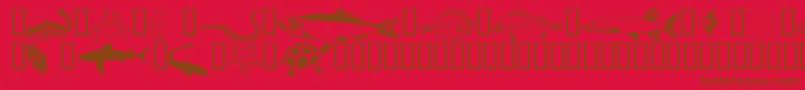 Wmaquatic1 Font – Brown Fonts on Red Background