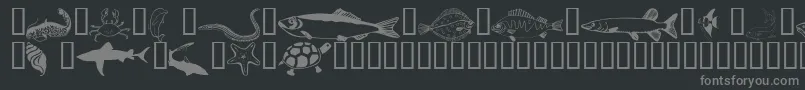 Шрифт Wmaquatic1 – серые шрифты на чёрном фоне