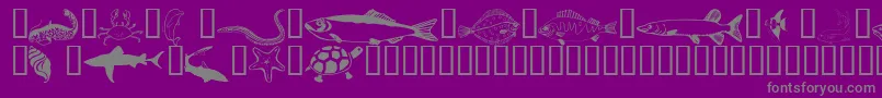 Czcionka Wmaquatic1 – szare czcionki na fioletowym tle