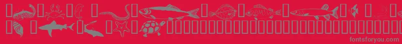 Wmaquatic1 Font – Gray Fonts on Red Background