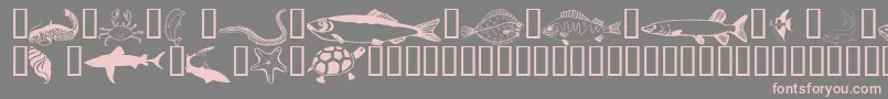 En savoir plus sur la police Wmaquatic1 Police Wmaquatic1 – polices roses sur fond gris