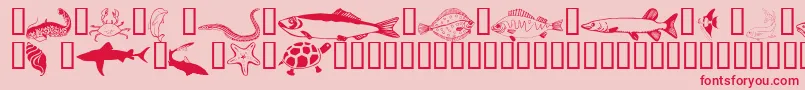 Czcionka Wmaquatic1 – czerwone czcionki na różowym tle