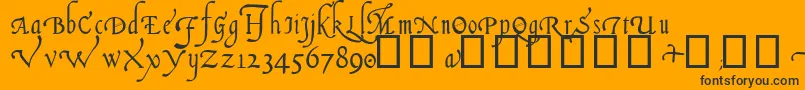 ItalianCursive14thC Font – Black Fonts on Orange Background