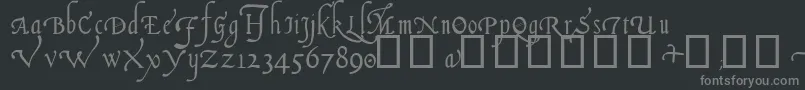 ItalianCursive14thC Font – Gray Fonts on Black Background