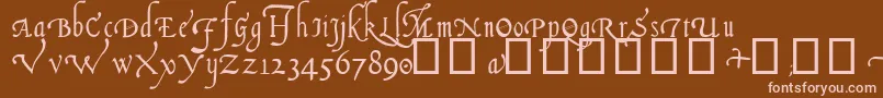 ItalianCursive14thC Font – Pink Fonts on Brown Background